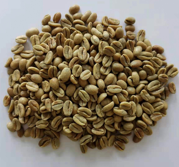 生豆圖.jpg