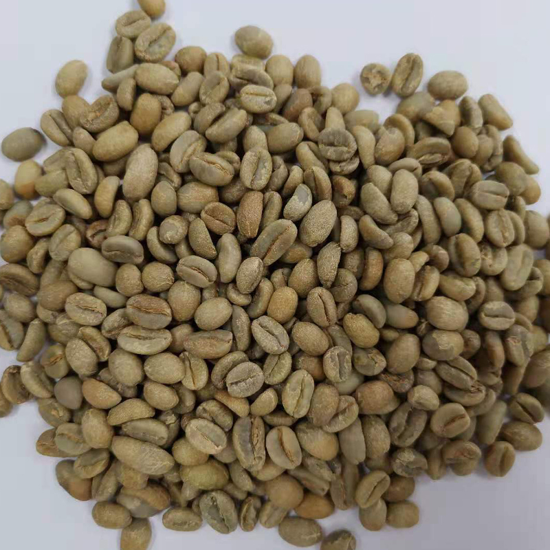 生豆圖.jpg