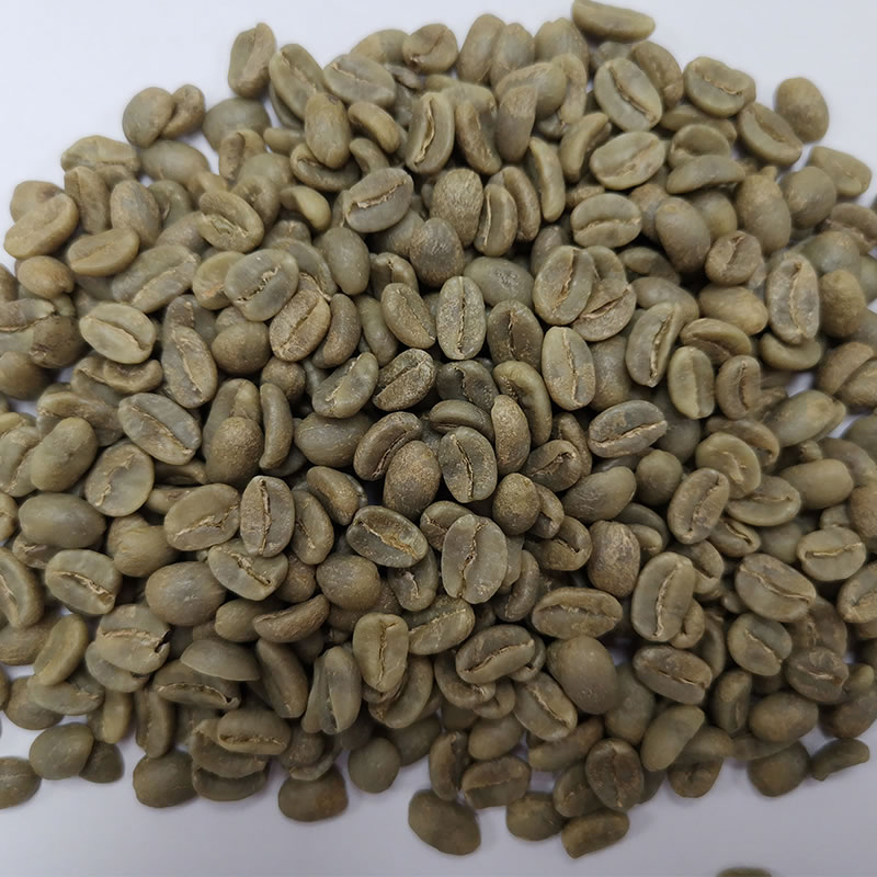 生豆圖.jpg